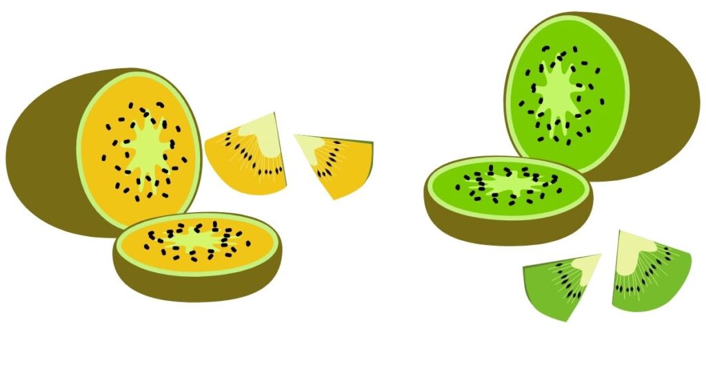 Kiwi verde VS Kiwi amarillo