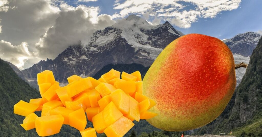 Propiedades del mango