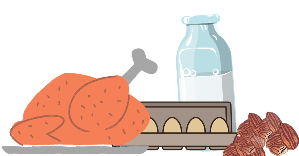 Alimentos con gran contenido en proteína