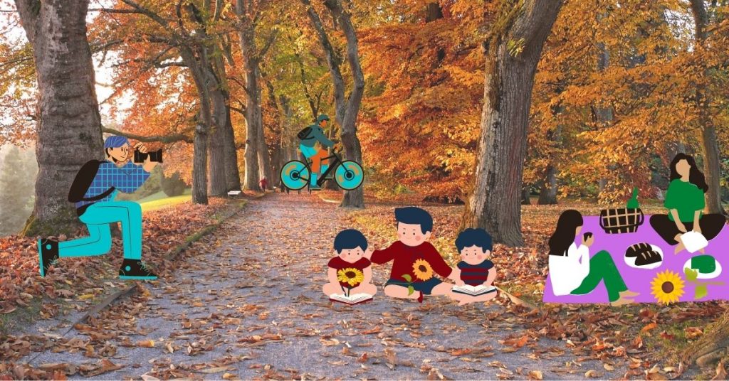 Para disfrutar del otoño