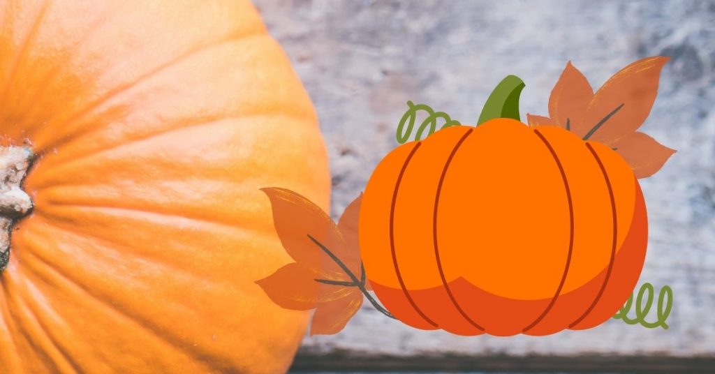 Beneficios de la calabaza