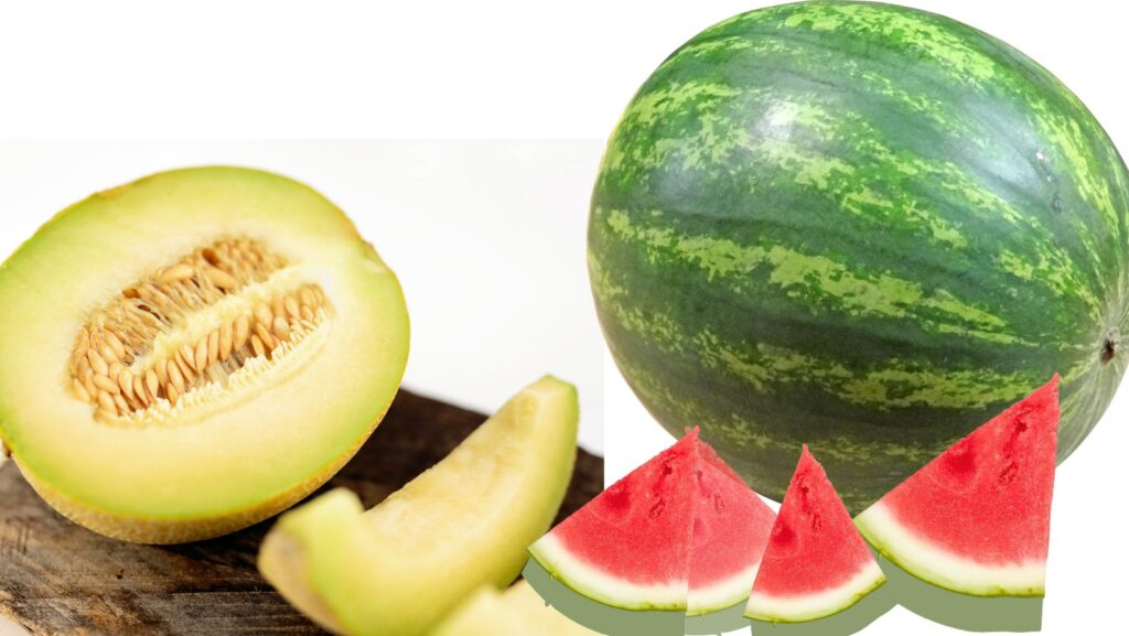 Sandia VS Melon