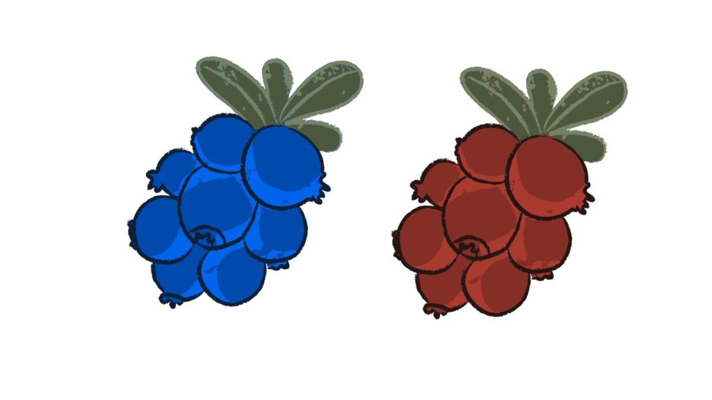 Beneficios de los arándanos