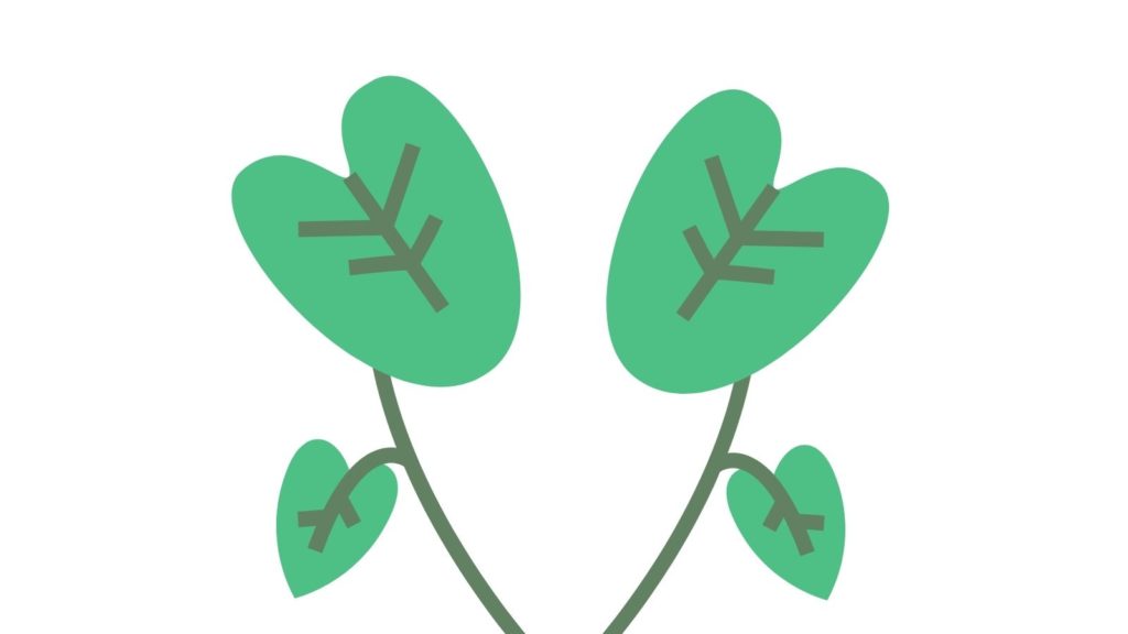 ¿Qué es la centella asiática?