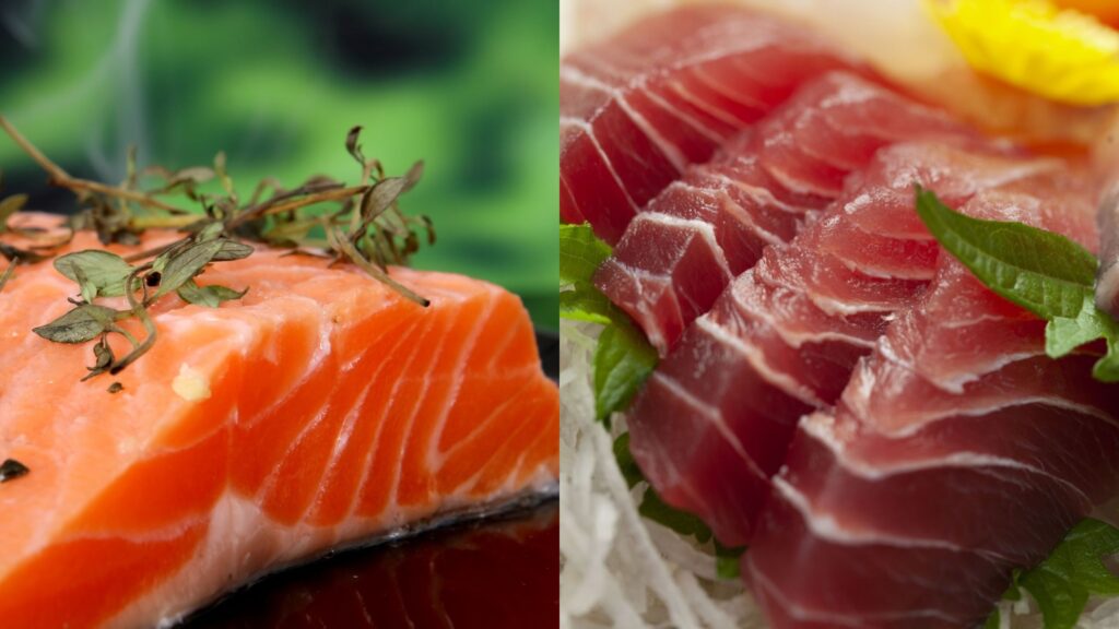Salmon VS Atun