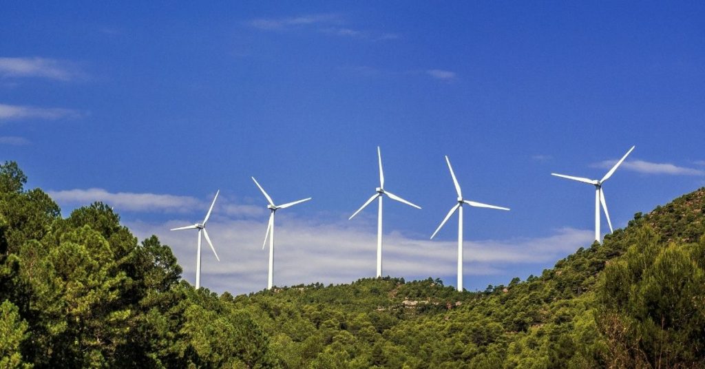 Vacaciones ecológicas