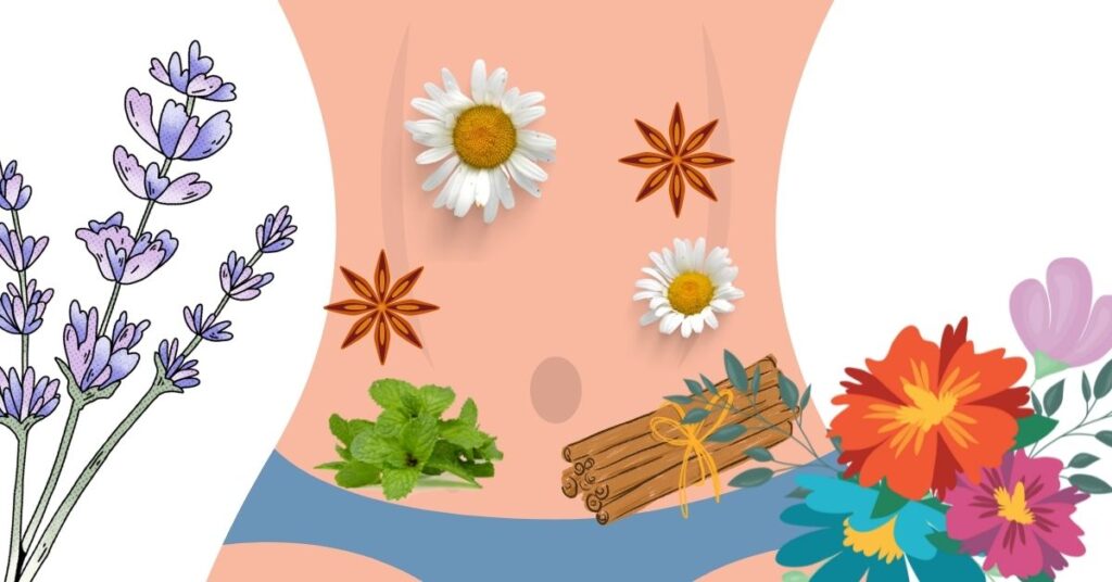 Remedios para la digestion