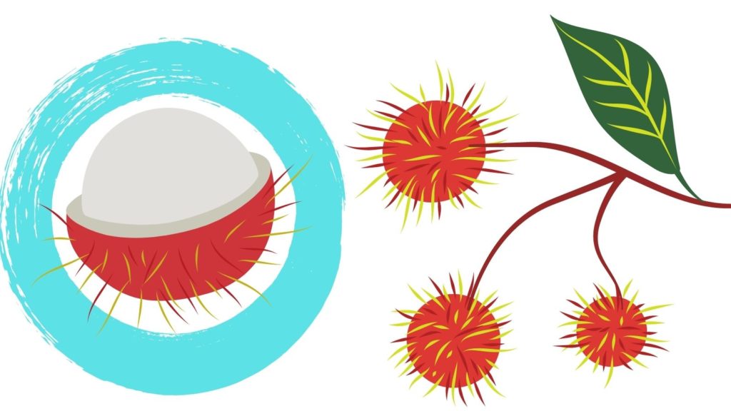 Beneficios del Rambután