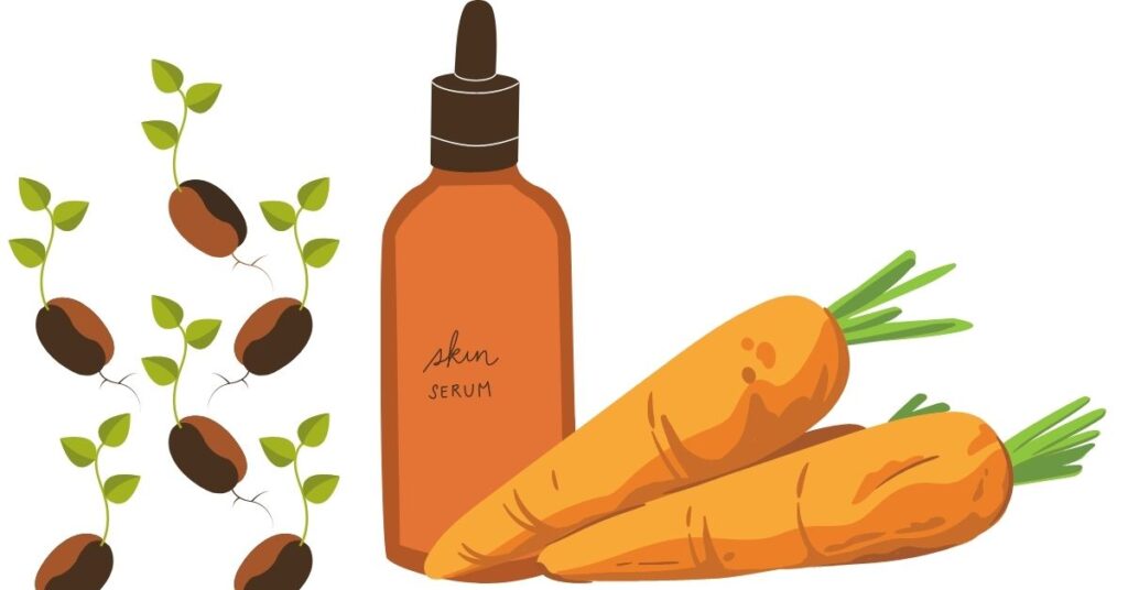 Aceite de semilla de zanahoria