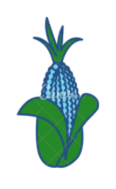 Beneficios y propiedades del maíz azul