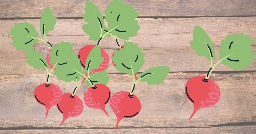 Propiedades del rabano