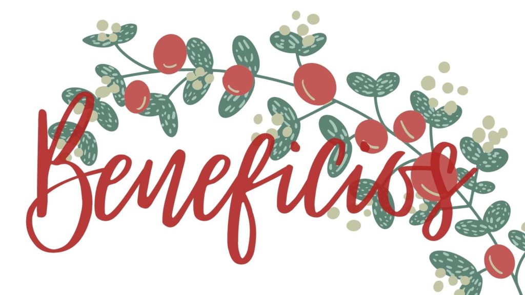 Beneficios de la zarzaparrilla