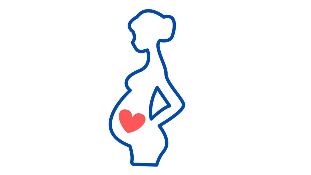 Etapas en el embarazo