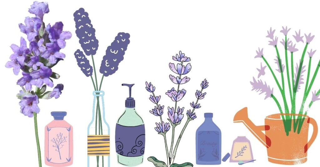 Remedios relajantes con lavanda