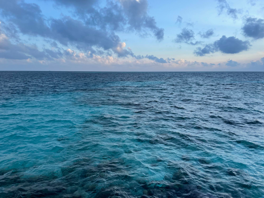 REALE Contigo Decesos