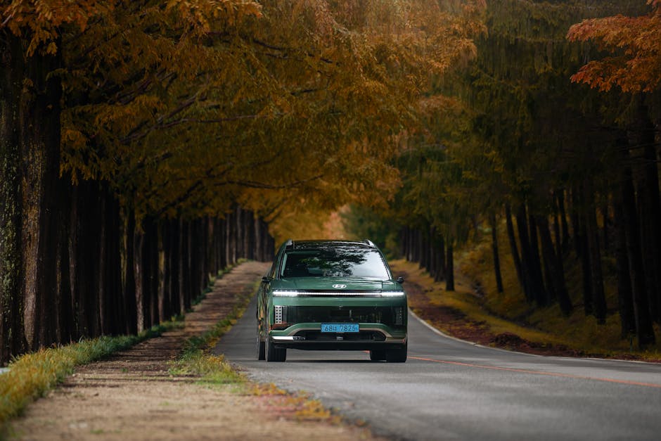 UN VIAJE LARGO EN COCHE ELECTRICO