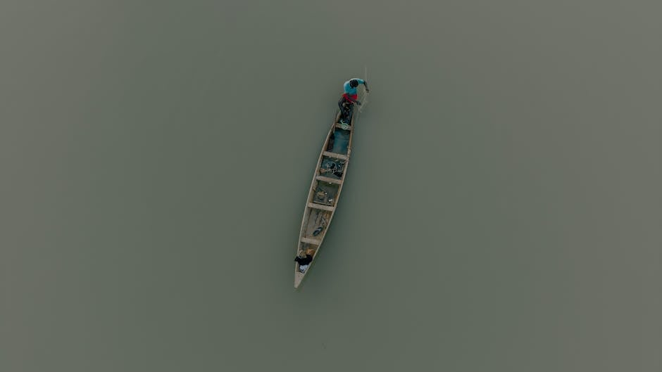 TERCEROS BASICO O TERCEROS AMPLIADO