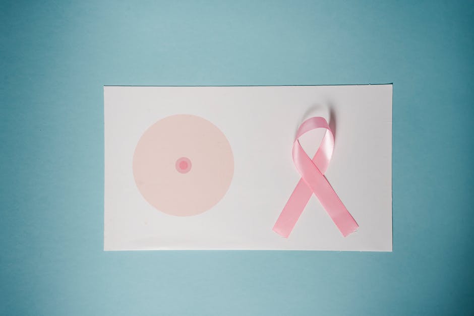 🎀 Octubre Rosa: Día Mundial del Cáncer de Mama 🎀