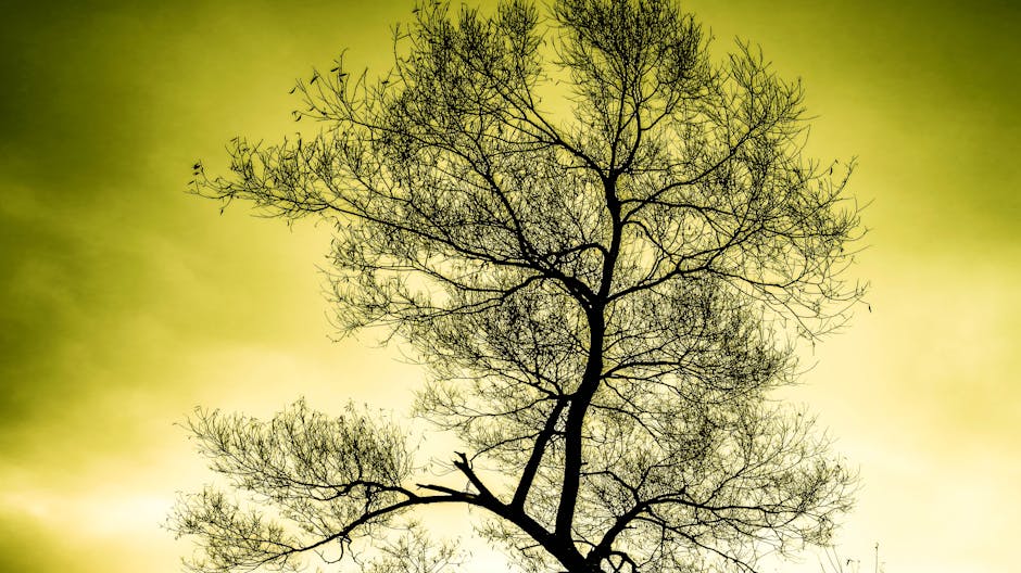 Antes, durante y despues del sol