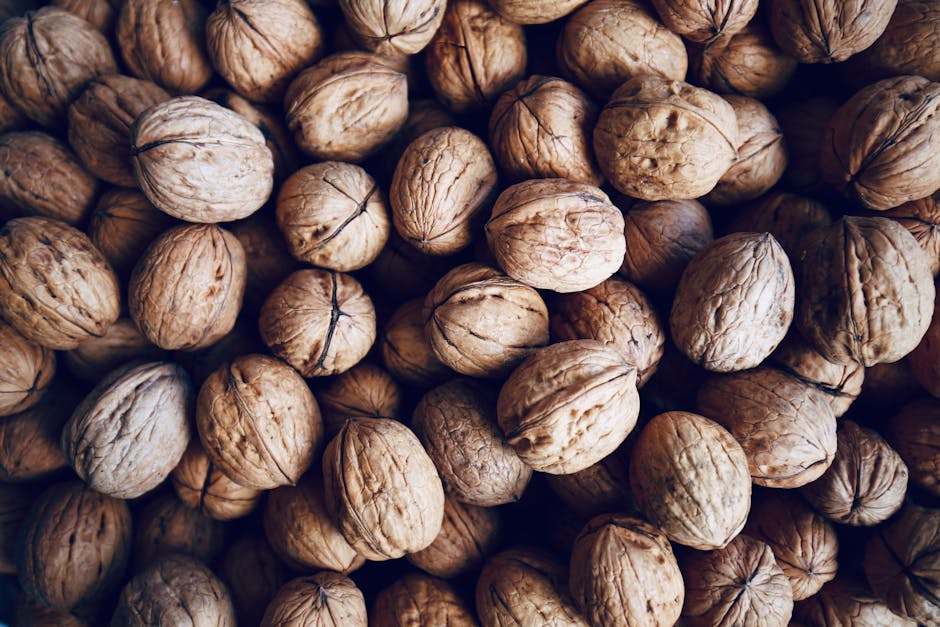 Beneficios del palmito