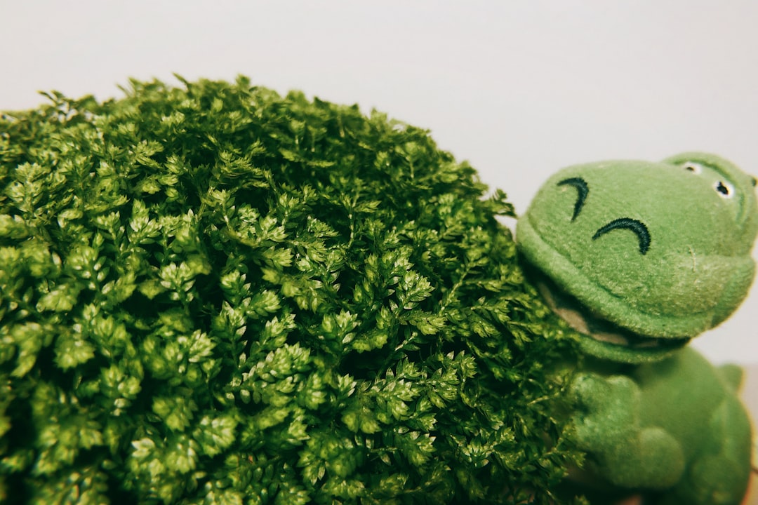 Beneficios del brócoli